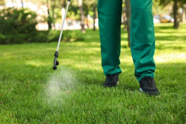 Trusted Cullowhee, NC Pest Control Experts
