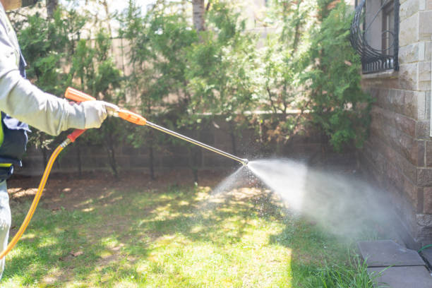 Best Pest Removal Services  in Cullowhee, NC