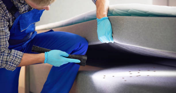 Best Rat Extermination Near Me  in Cullowhee, NC