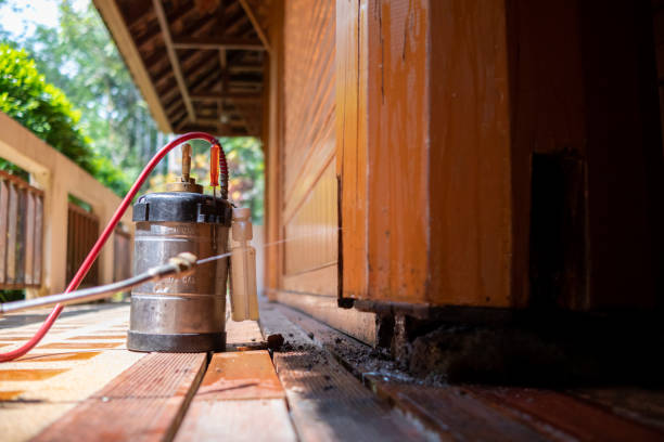 Best Best Pest Control Companies  in Cullowhee, NC
