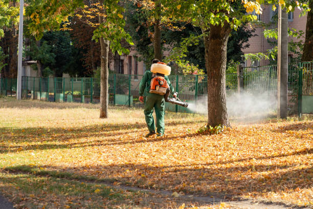 Best Emergency Pest Control  in Cullowhee, NC