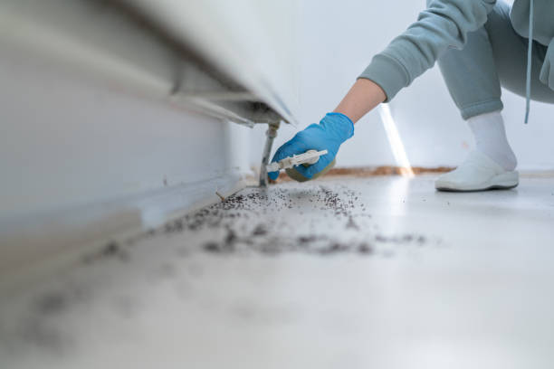 Best Pest Removal Services  in Cullowhee, NC